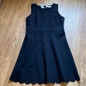 Loft | Adorable Little Black Dress NWT